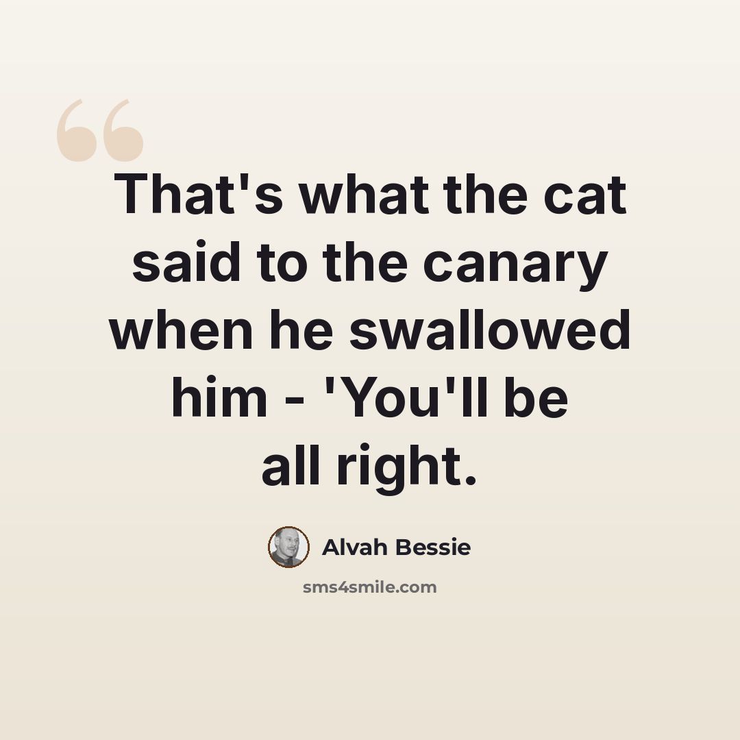 “That's what the cat said to the canary when he swallowed him - 'You'll be all right.” quote by Alvah Bessie