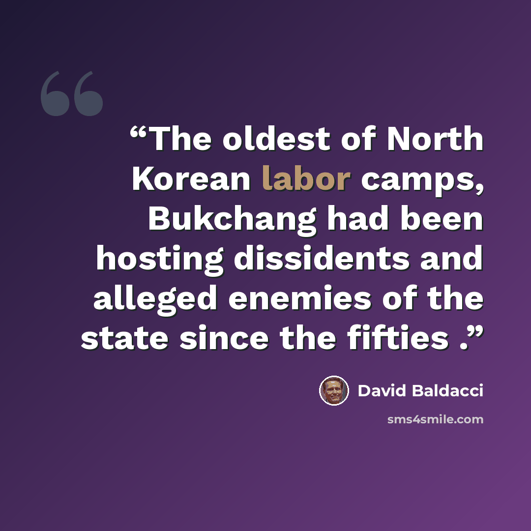 “The oldest of North Korean labor camps, Bukchang had been hosting dissidents and alleged enemies of the state since the fifties .” quote by David Baldacci