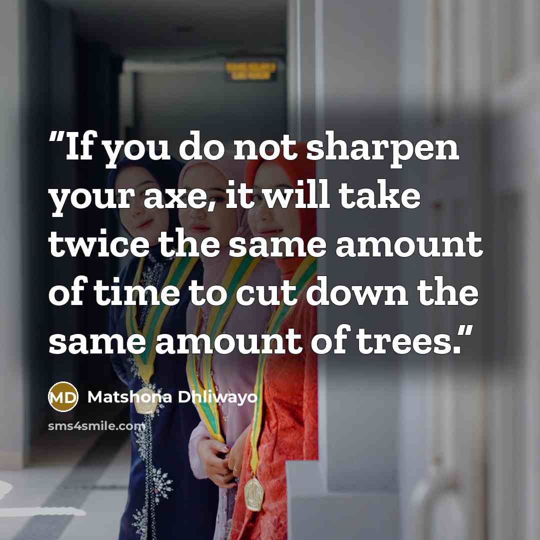 “If you do not sharpen your axe, it will take twice the same amount of time to cut down the same amount of trees.” quote by Matshona Dhliwayo