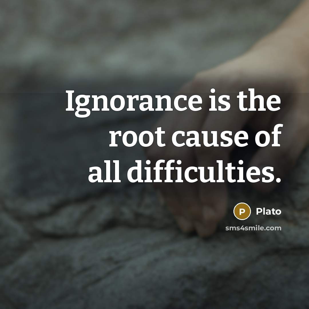“Ignorance is the root cause of all difficulties.” quote by Plato