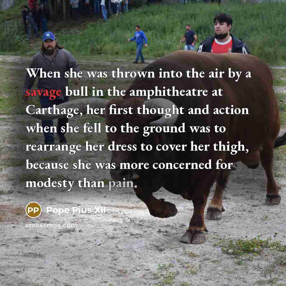 “When she was thrown into the air by a savage bull in the amphitheatre at Carthage, her first thought and action when she fell to the ground was to rearrange her dress to cover her thigh, because she was more concerned for modesty than pain.” quote by Pope Pius XII