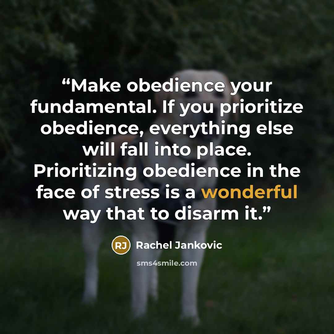 “Make obedience your fundamental. If you prioritize obedience, everything else will fall into place. Prioritizing obedience in the face of stress is a wonderful way that to disarm it.” quote by Rachel Jankovic