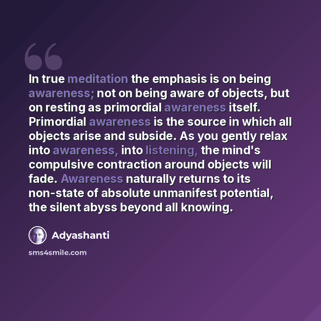 “In true meditation the emphasis is on being awareness; not on being aware of objects, but on resting as primordial awareness itself. Primordial awareness is the source in which all objects arise and subside. As you gently relax into awareness, into listening, the mind's compulsive contraction…” quote by Adyashanti