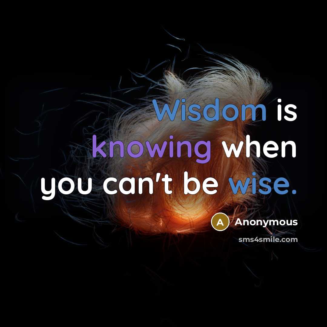“Wisdom is knowing when you can't be wise.” quote by Anonymous
