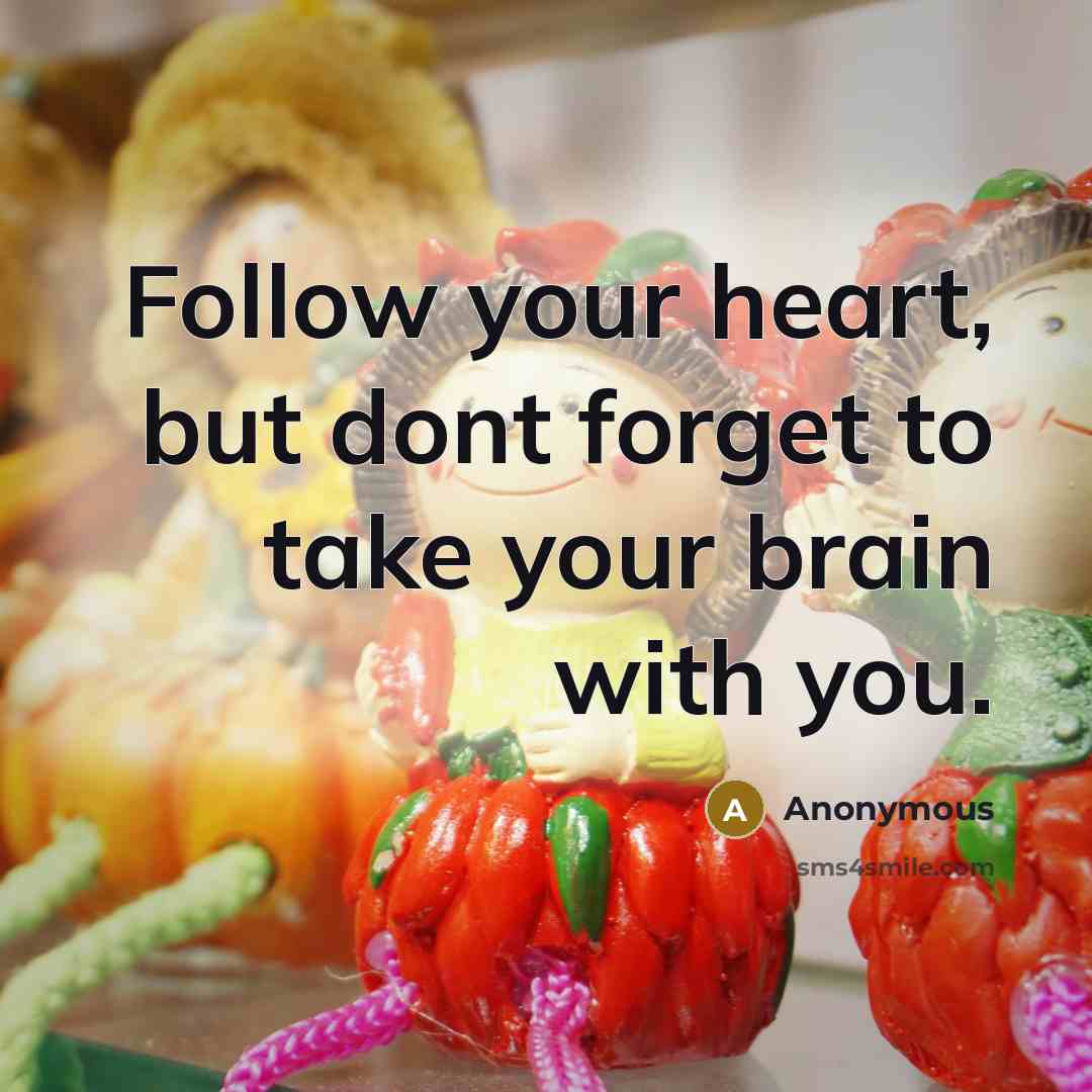 “Follow your heart, but dont forget to take your brain with you.” quote by Anonymous