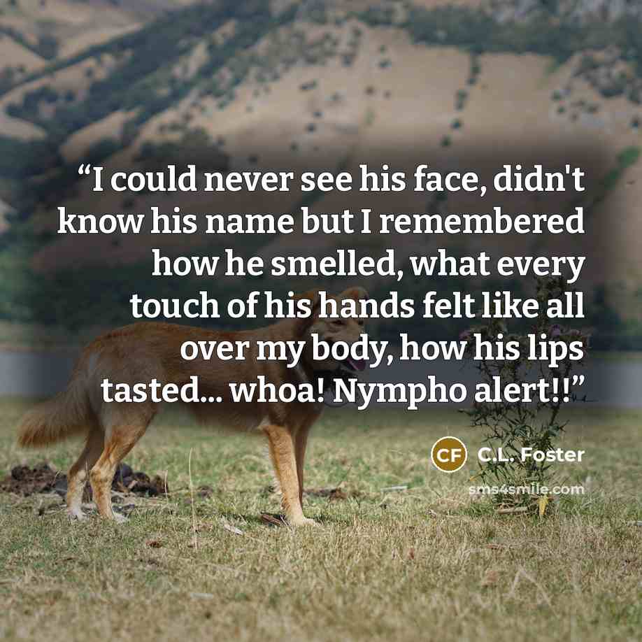 “I could never see his face, didn't know his name but I remembered how he smelled, what every touch of his hands felt like all over my body, how his lips tasted... whoa! Nympho alert!!” quote by C.L. Foster