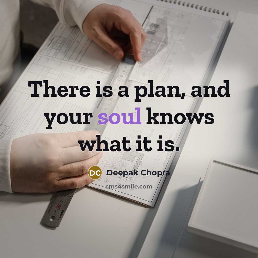“There is a plan, and your soul knows what it is.” quote by Deepak Chopra