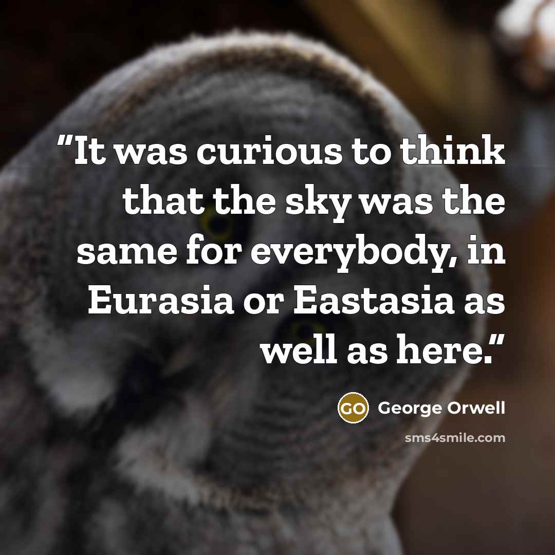 “It was curious to think that the sky was the same for everybody, in Eurasia or Eastasia as well as here.” quote by George Orwell