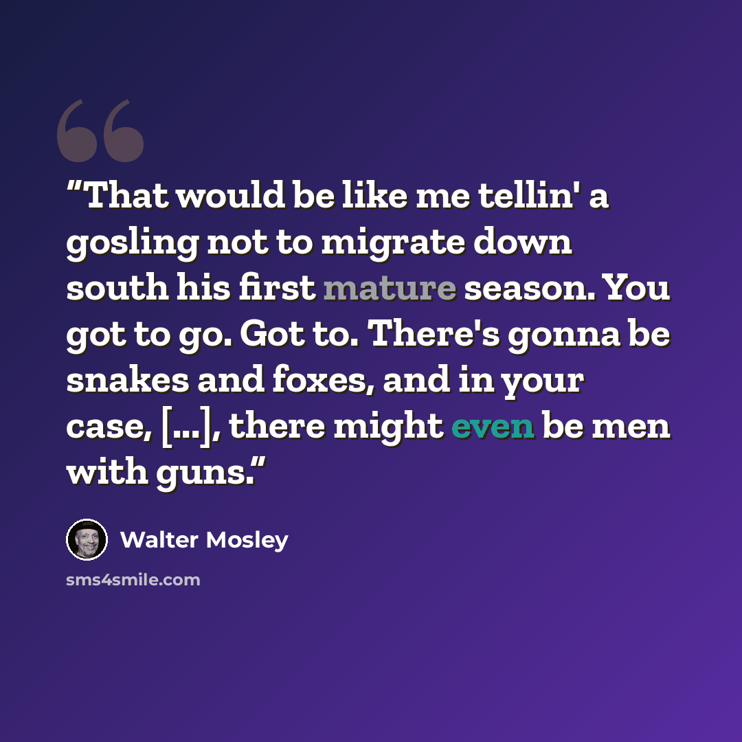 “That would be like me tellin' a gosling not to migrate down south his first mature season. You got to go. Got to. There's gonna be snakes and foxes, and in your case, [...], there might even be men with guns.” quote by Walter Mosley