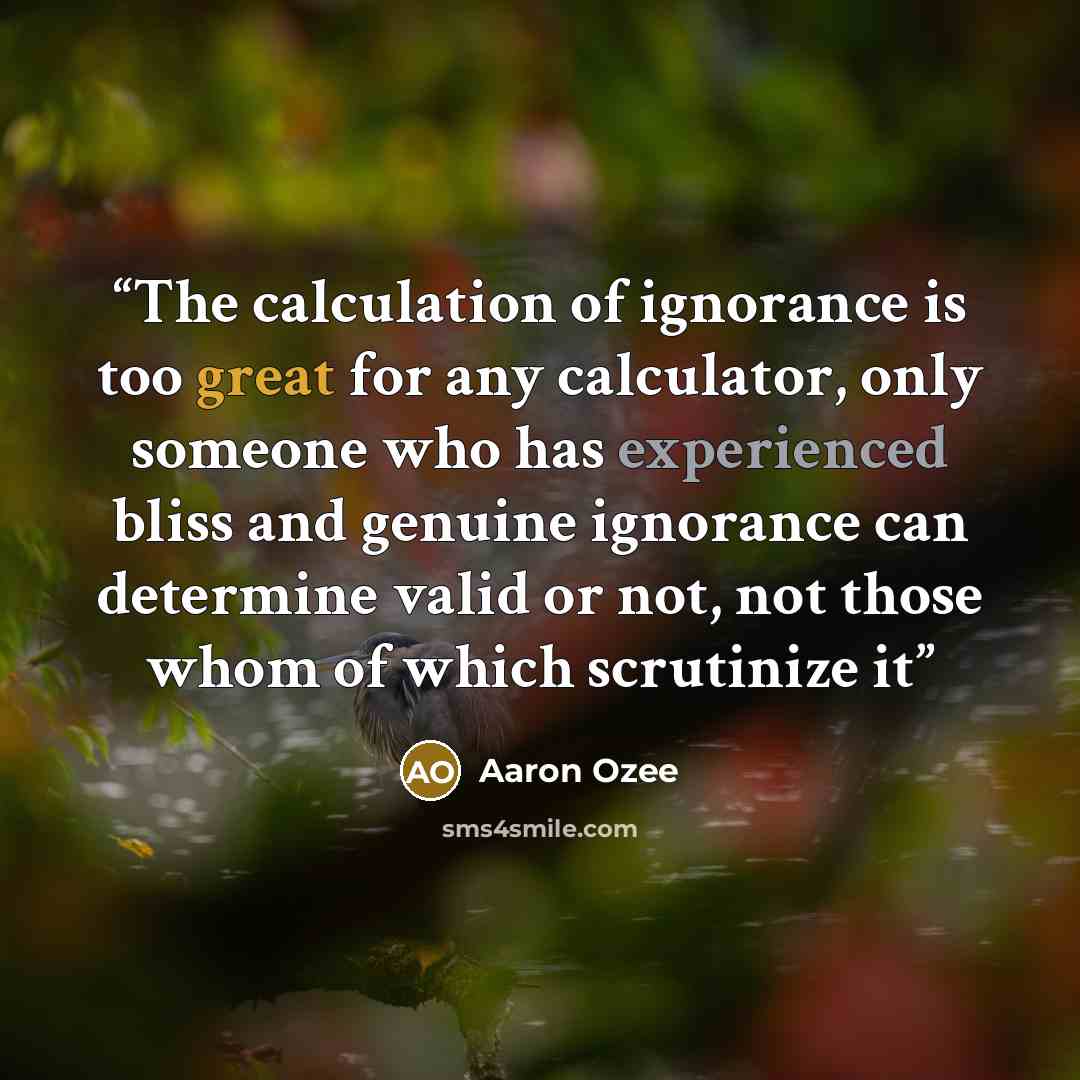 “The calculation of ignorance is too great for any calculator, only someone who has experienced bliss and genuine ignorance can determine valid or not, not those whom of which scrutinize it” quote by Aaron Ozee