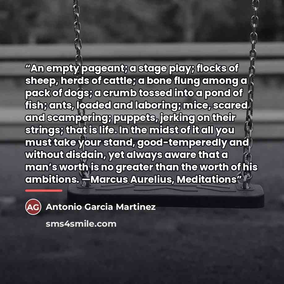 “An empty pageant; a stage play; flocks of sheep, herds of cattle; a bone flung among a pack of dogs; a crumb tossed into a pond of fish; ants, loaded and laboring; mice, scared and scampering; puppets, jerking on their strings; that is life. In the midst of it all you must take your stand…” quote by Antonio Garcia Martinez