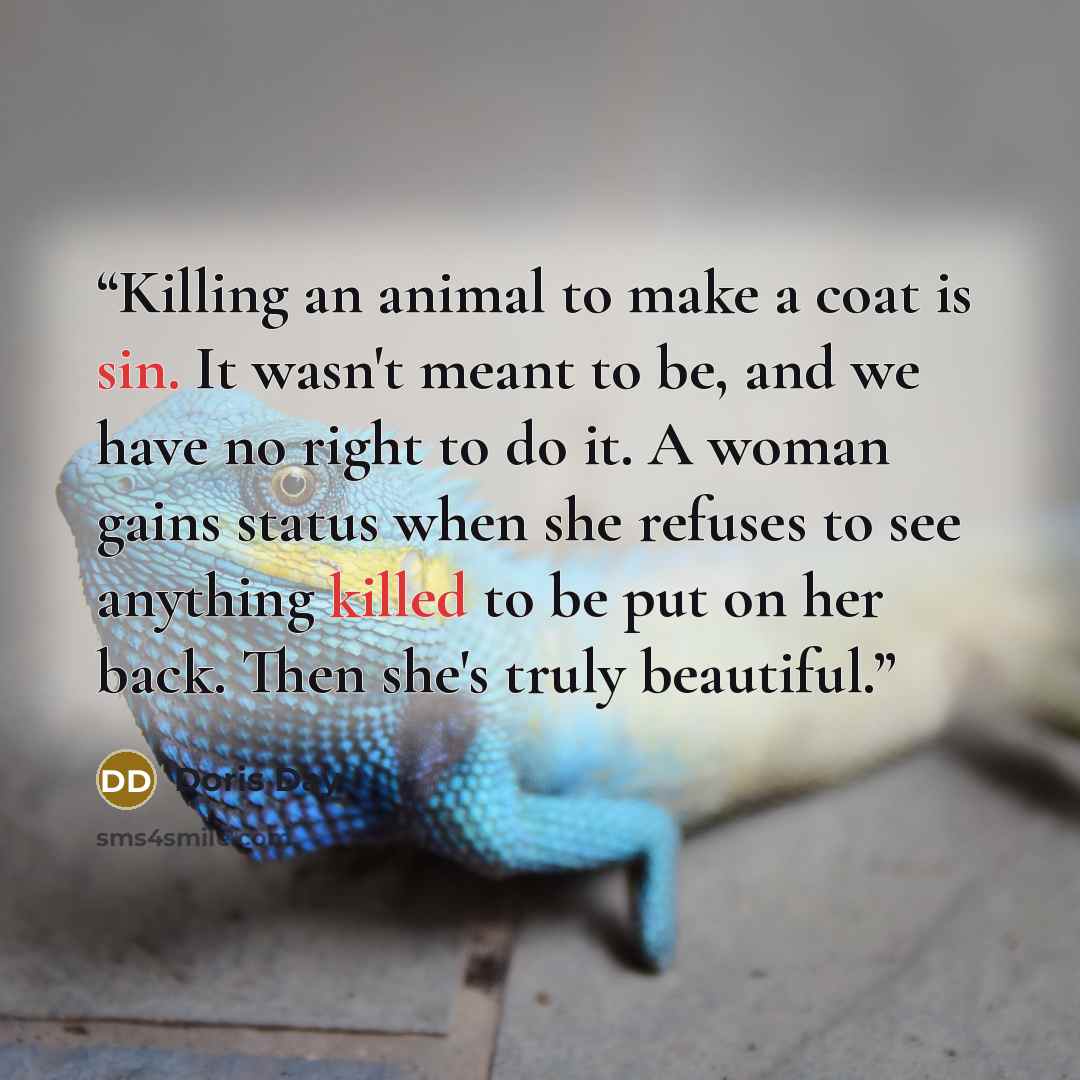 “Killing an animal to make a coat is sin. It wasn't meant to be, and we have no right to do it. A woman gains status when she refuses to see anything killed to be put on her back. Then she's truly beautiful.” quote by Doris Day
