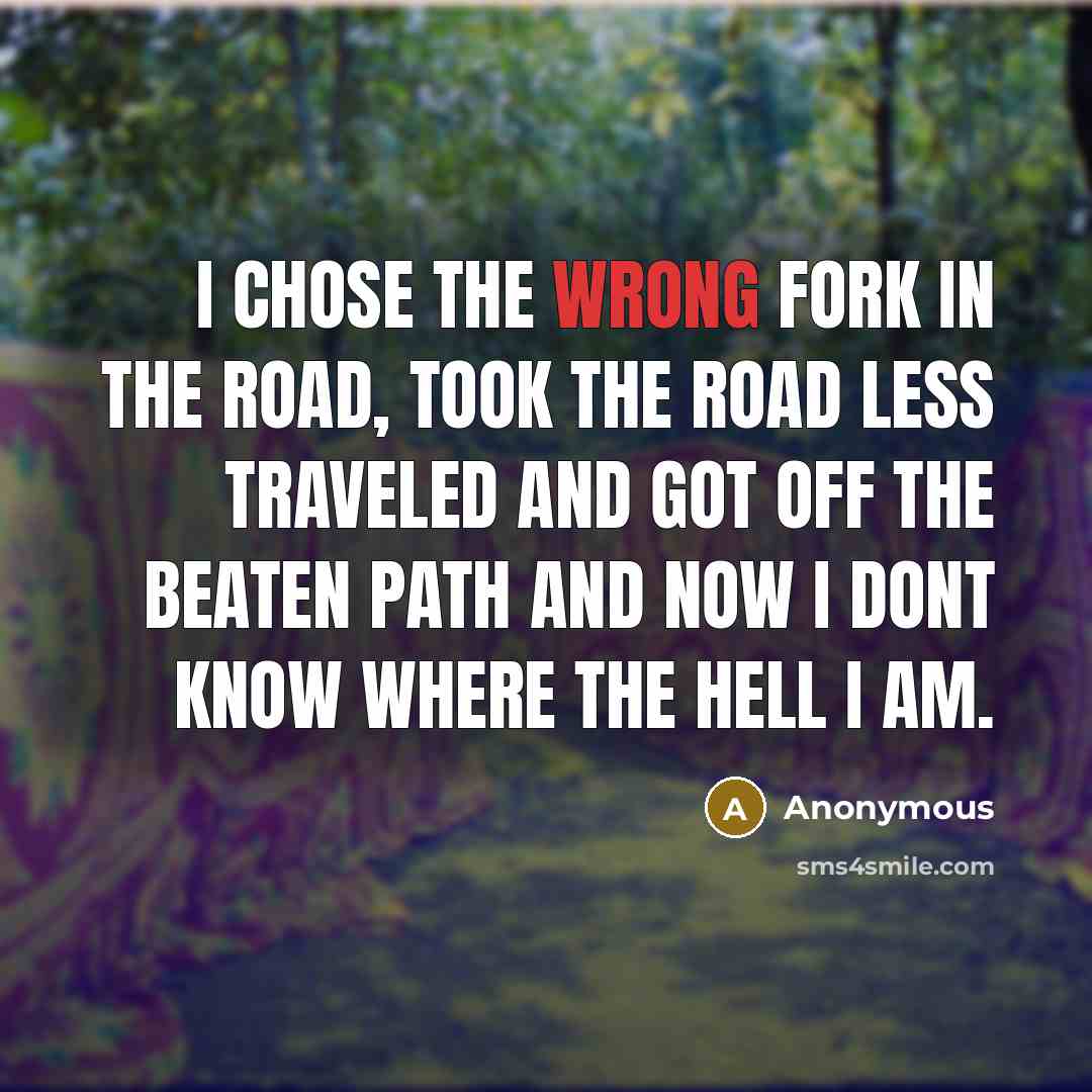 “I chose the wrong fork in the road, took the road less traveled and got off the beaten path and now I dont know where the hell I am.” quote by Anonymous