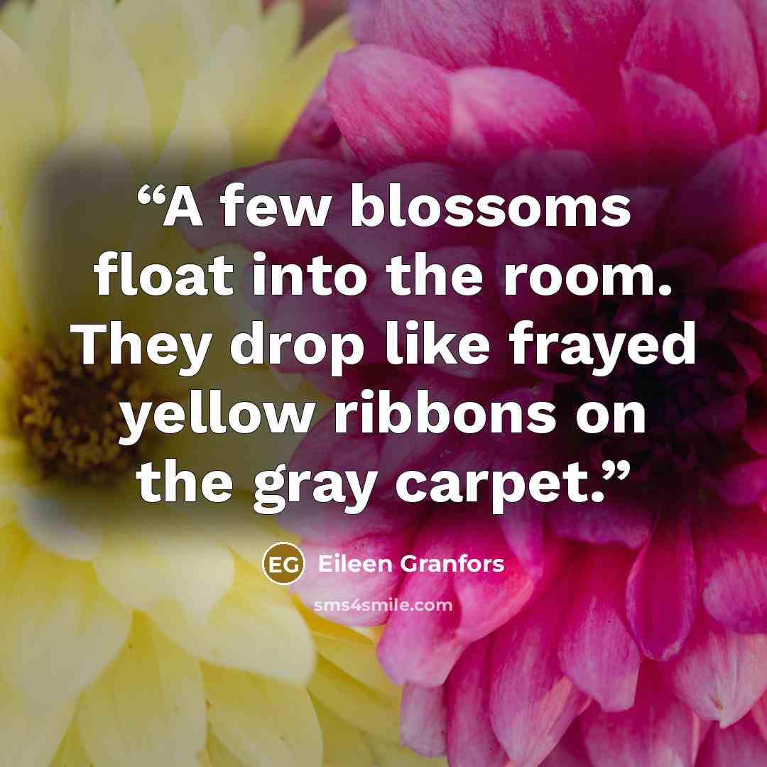 “A few blossoms float into the room. They drop like frayed yellow ribbons on the gray carpet.” quote by Eileen Granfors