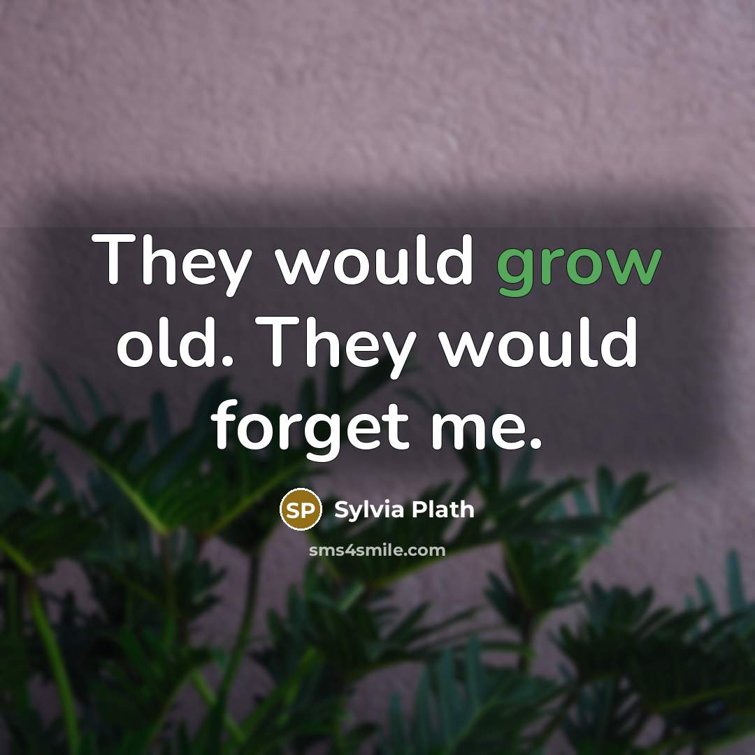 “They would grow old. They would forget me.” quote by Sylvia Plath