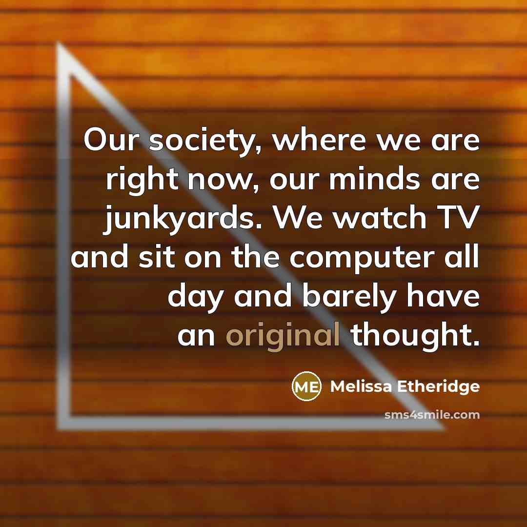 “Our society, where we are right now, our minds are junkyards. We watch TV and sit on the computer all day and barely have an original thought.” quote by Melissa Etheridge