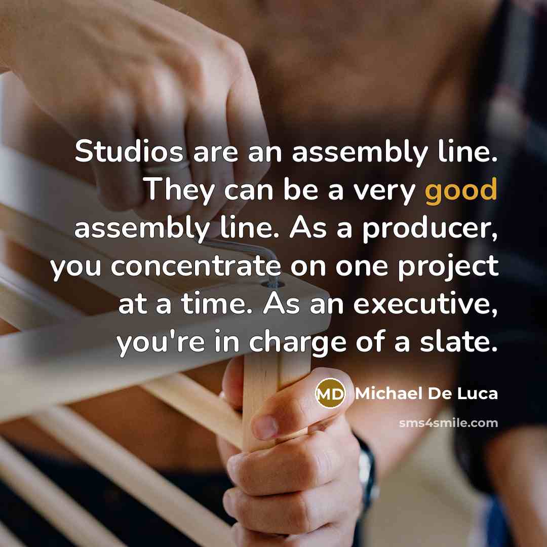 “Studios are an assembly line. They can be a very good assembly line. As a producer, you concentrate on one project at a time. As an executive, you're in charge of a slate.” quote by Michael De Luca