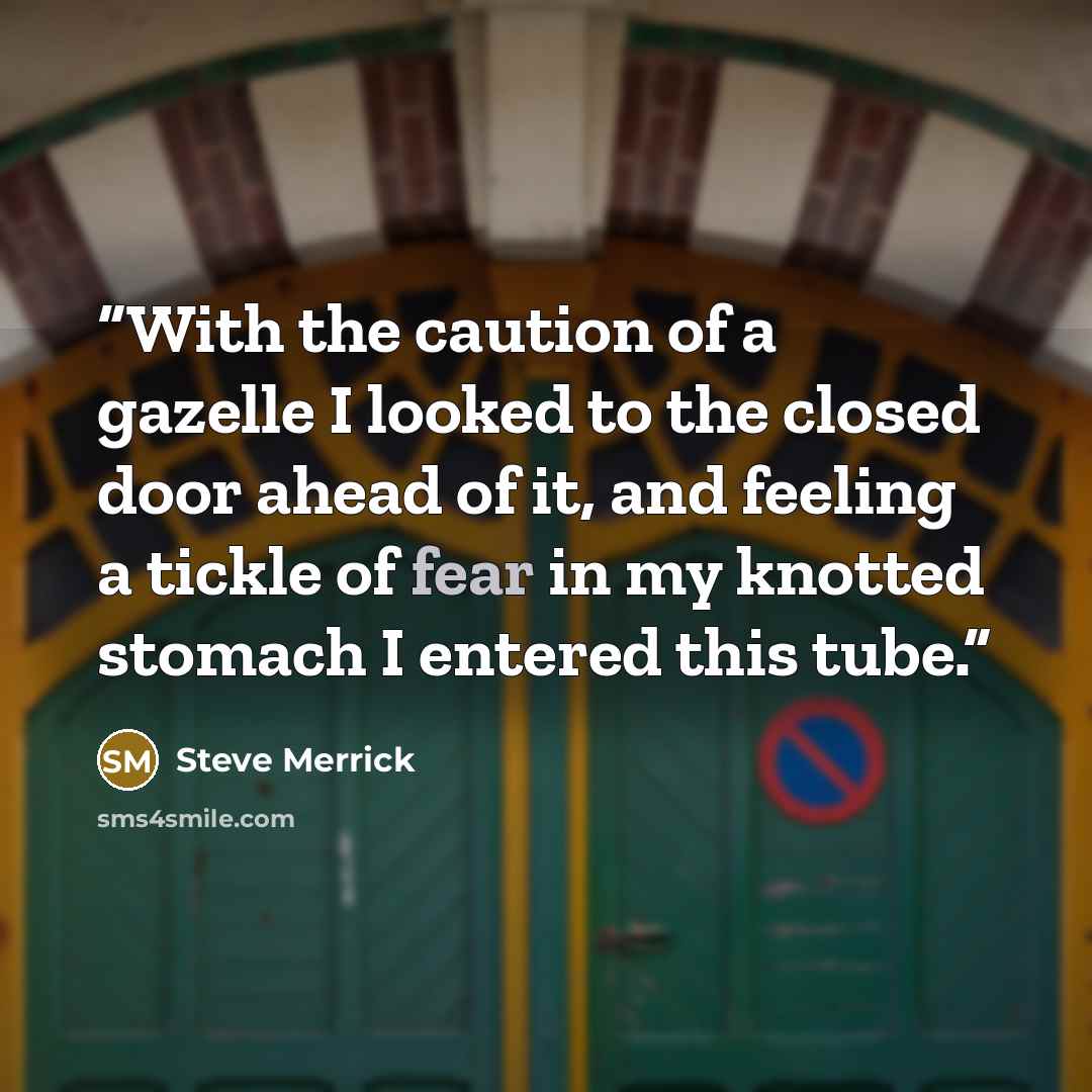 “With the caution of a gazelle I looked to the closed door ahead of it, and feeling a tickle of fear in my knotted stomach I entered this tube.” quote by Steve Merrick