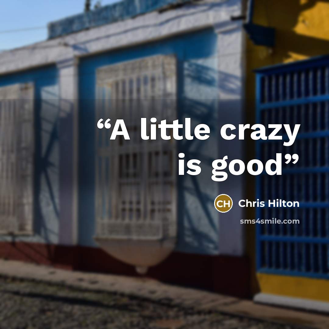 “A little crazy is good” quote by Chris Hilton