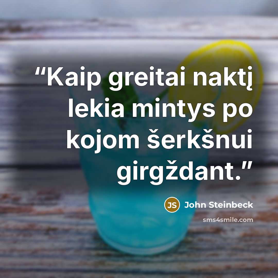 “Kaip greitai naktį lekia mintys po kojom šerkšnui girgždant.” quote by John Steinbeck