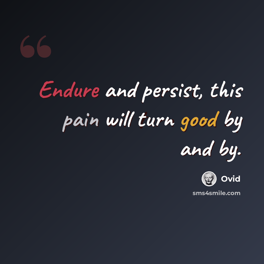 “Endure and persist, this pain will turn good by and by.” quote by Ovid