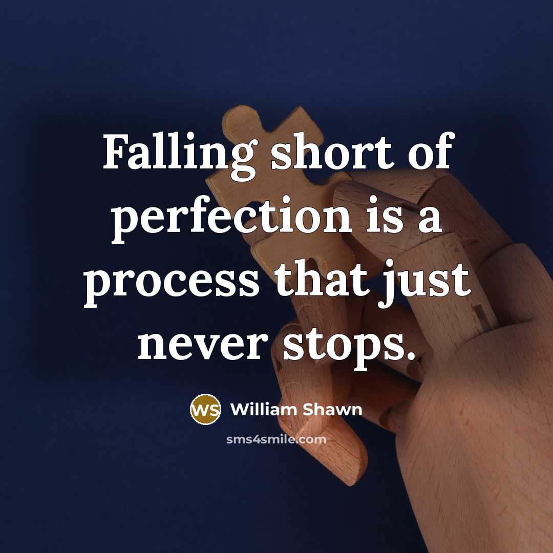 “Falling short of perfection is a process that just never stops.” quote by William Shawn