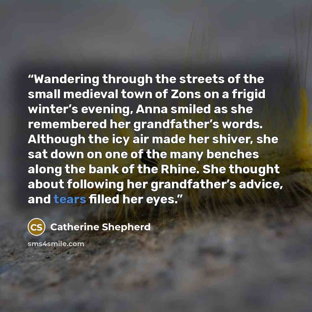 “Wandering through the streets of the small medieval town of Zons on a frigid winter’s evening, Anna smiled as she remembered her grandfather’s words. Although the icy air made her shiver, she sat down on one of the many benches along the bank of the Rhine. She thought about following her…” quote by Catherine Shepherd