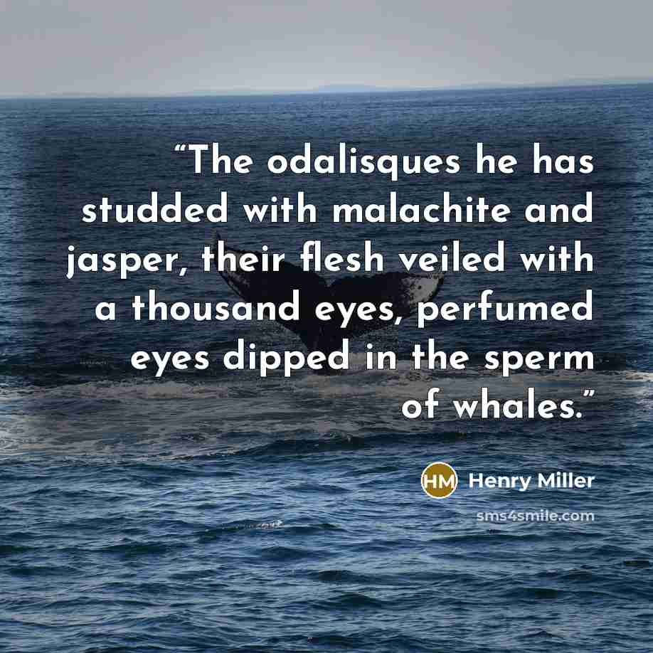 “The odalisques he has studded with malachite and jasper, their flesh veiled with a thousand eyes, perfumed eyes dipped in the sperm of whales.” quote by Henry Miller