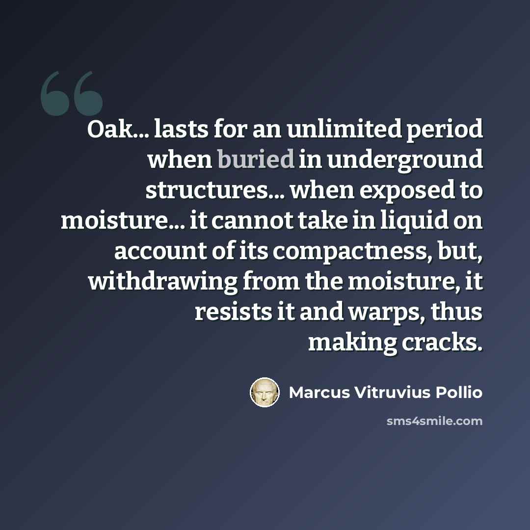 “Oak... lasts for an unlimited period when buried in underground structures... when exposed to moisture... it cannot take in liquid on account of its compactness, but, withdrawing from the moisture, it resists it and warps, thus making cracks.” quote by Marcus Vitruvius Pollio
