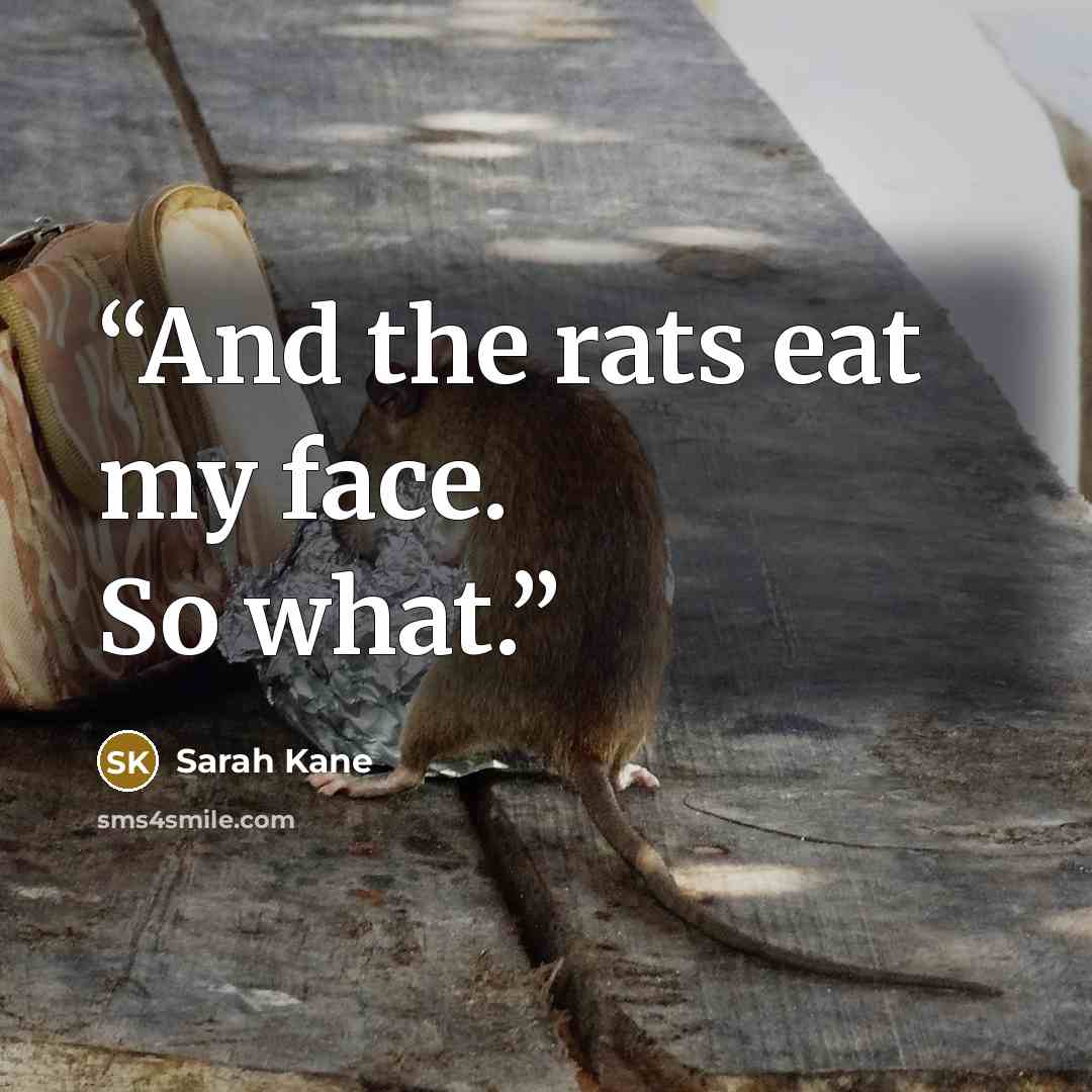 “And the rats eat my face. So what.” quote by Sarah Kane