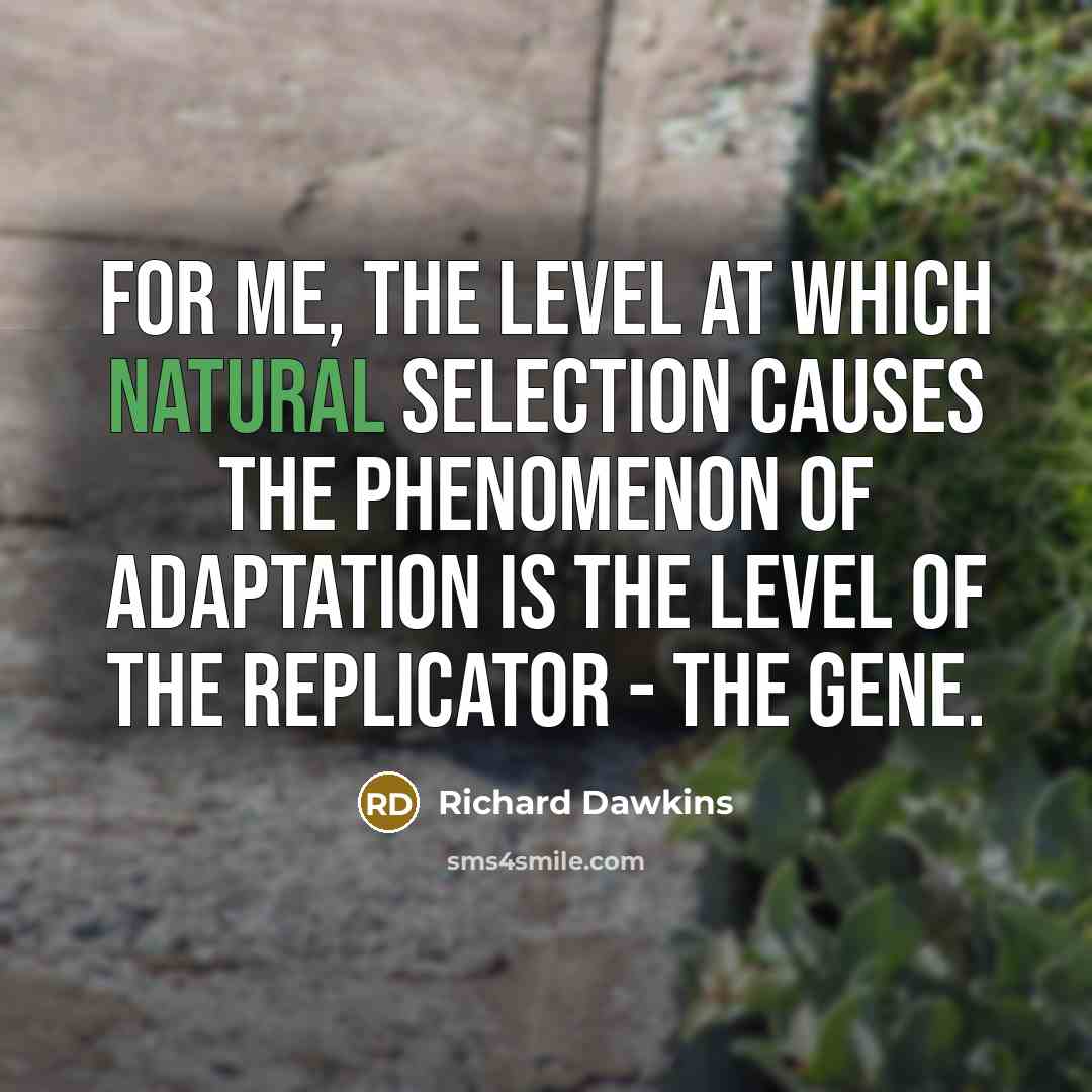 “For me, the level at which natural selection causes the phenomenon of adaptation is the level of the replicator - the gene.” quote by Richard Dawkins