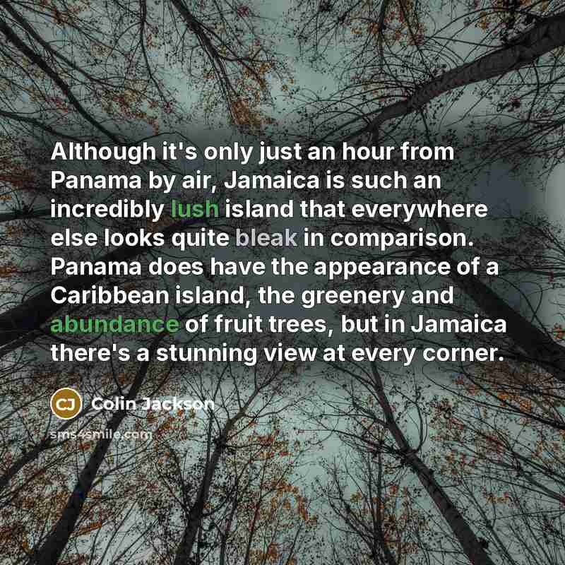 “Although it's only just an hour from Panama by air, Jamaica is such an incredibly lush island that everywhere else looks quite bleak in comparison. Panama does have the appearance of a Caribbean island, the greenery and abundance of fruit trees, but in Jamaica there's a stunning view at every…” quote by Colin Jackson