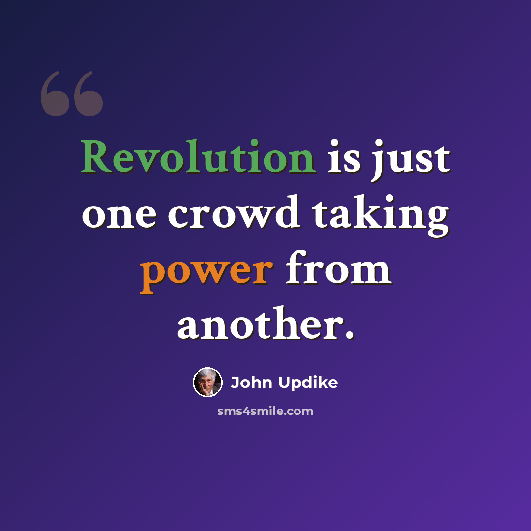 “Revolution is just one crowd taking power from another.” quote by John Updike