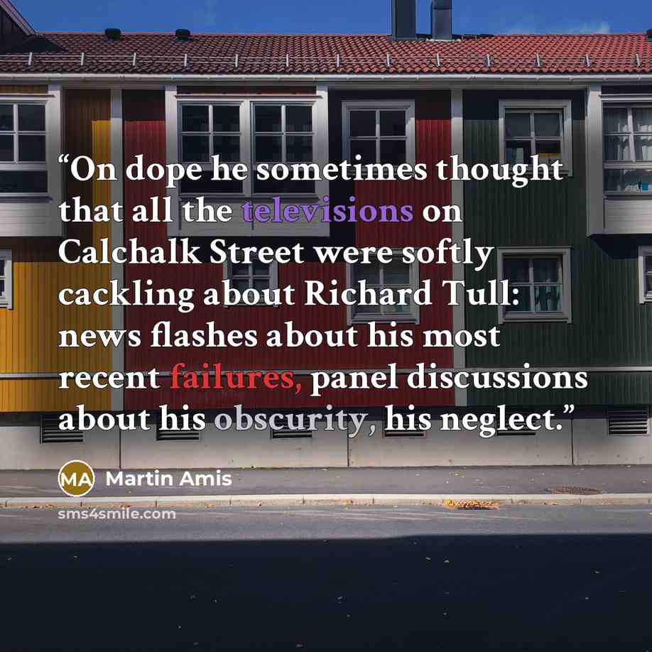 “On dope he sometimes thought that all the televisions on Calchalk Street were softly cackling about Richard Tull: news flashes about his most recent failures, panel discussions about his obscurity, his neglect.” quote by Martin Amis