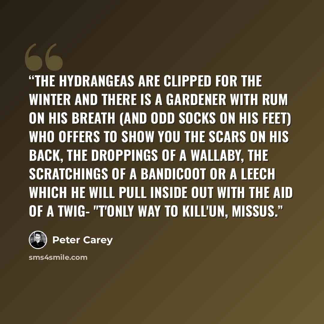 “The hydrangeas are clipped for the winter and there is a gardener with rum on his breath (and odd socks on his feet) who offers to show you the scars on his back, the droppings of a wallaby, the scratchings of a bandicoot or a leech which he will pull inside out with the aid of a twig- "T'only way…” quote by Peter Carey