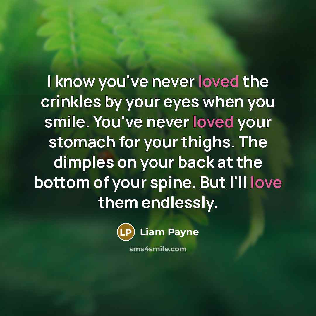 “I know you've never loved the crinkles by your eyes when you smile. You've never loved your stomach for your thighs. The dimples on your back at the bottom of your spine. But I'll love them endlessly.” quote by Liam Payne