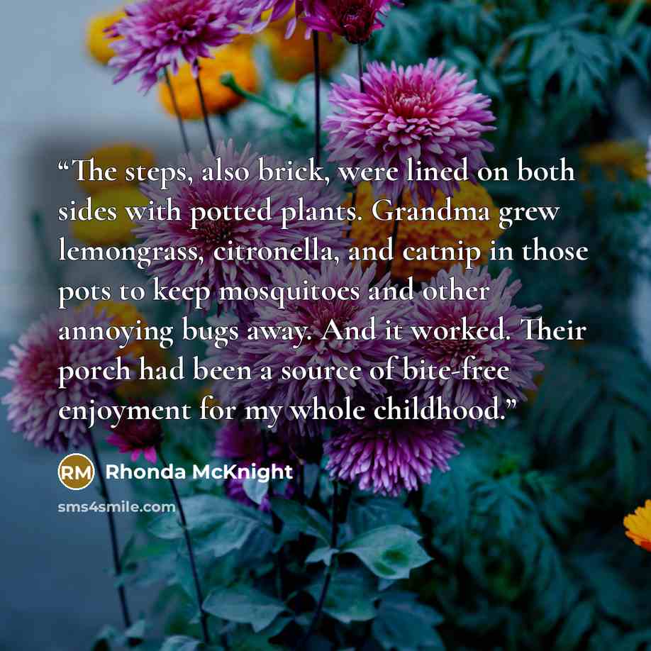 “The steps, also brick, were lined on both sides with potted plants. Grandma grew lemongrass, citronella, and catnip in those pots to keep mosquitoes and other annoying bugs away. And it worked. Their porch had been a source of bite-free enjoyment for my whole childhood.” quote by Rhonda McKnight
