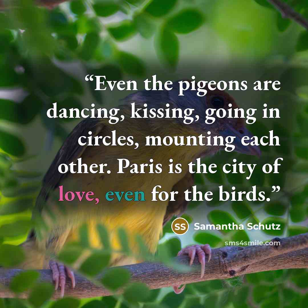 “Even the pigeons are dancing, kissing, going in circles, mounting each other. Paris is the city of love, even for the birds.” quote by Samantha Schutz