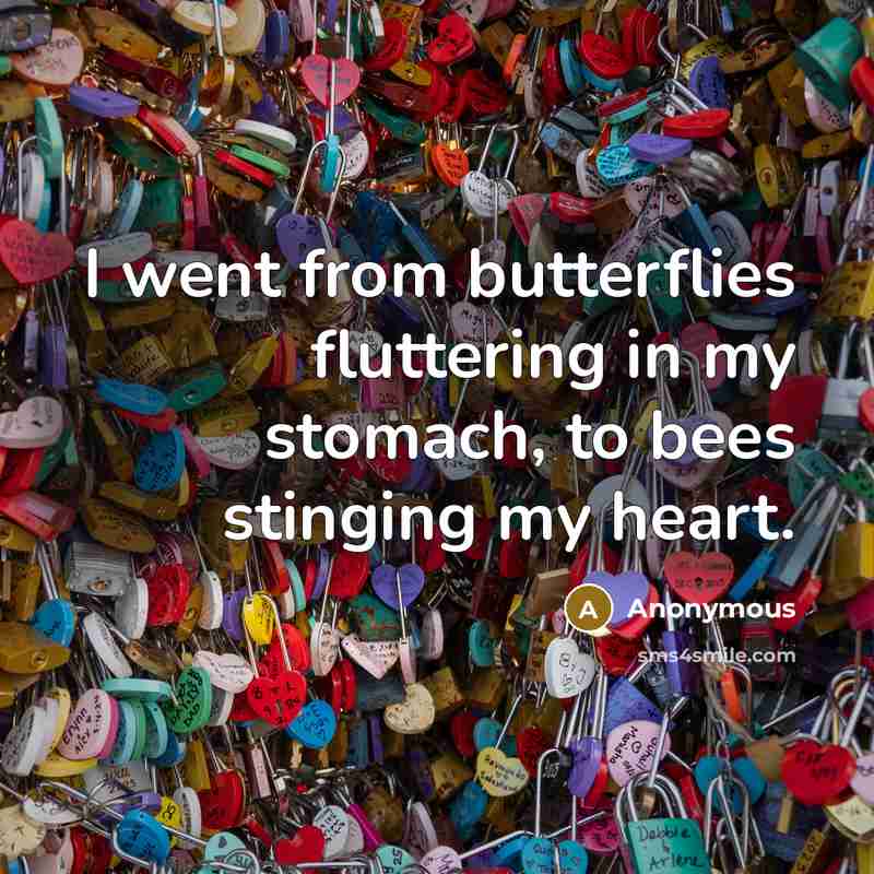 “I went from butterflies fluttering in my stomach, to bees stinging my heart.” quote by Anonymous