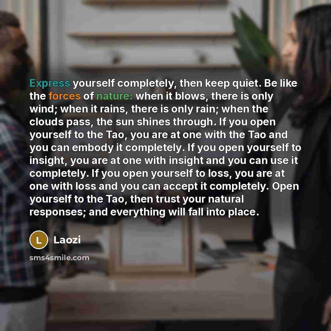 “Express yourself completely, then keep quiet. Be like the forces of nature: when it blows, there is only wind; when it rains, there is only rain; when the clouds pass, the sun shines through. If you open yourself to the Tao, you are at one with the Tao and you can embody it completely. If you open…” quote by Laozi