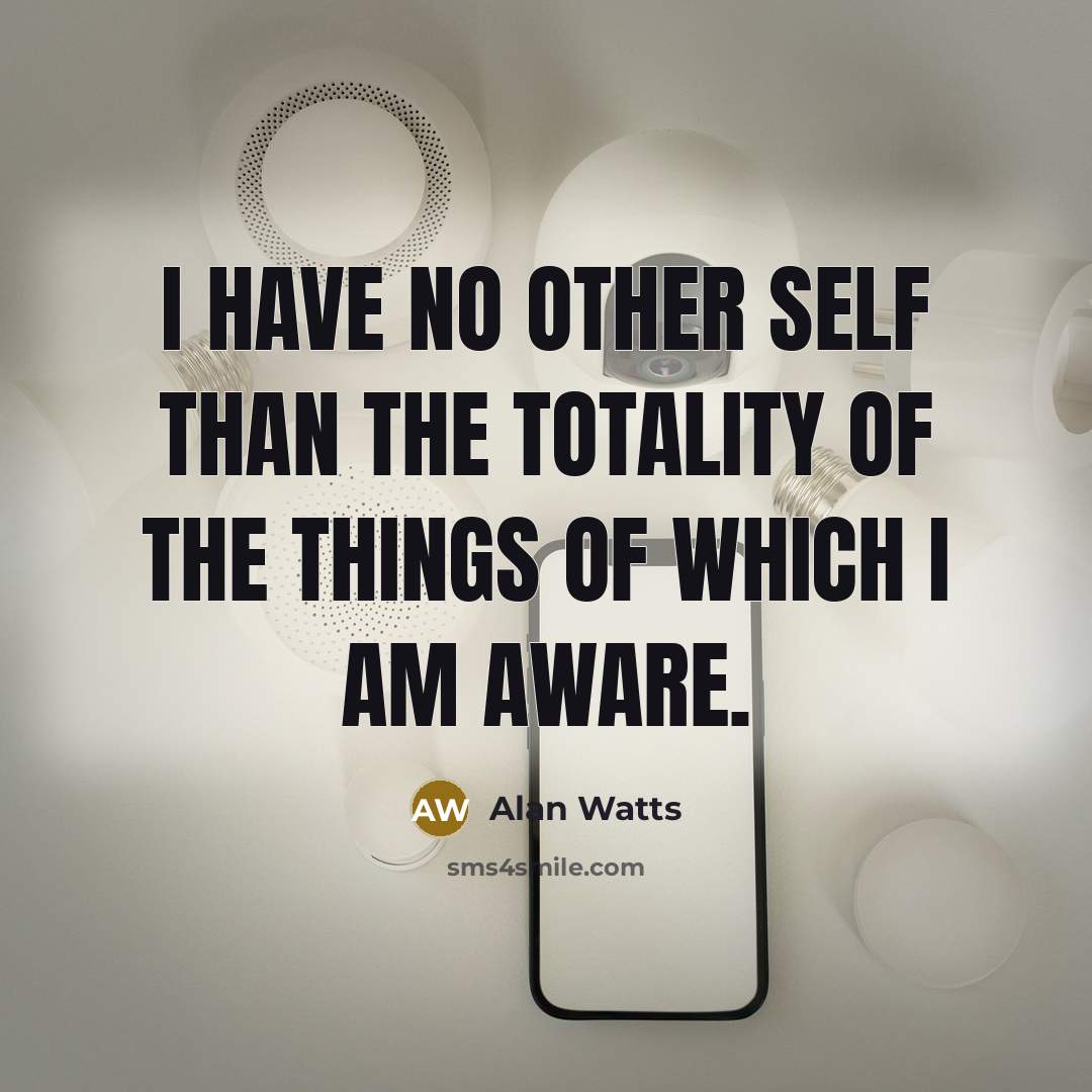 “I have no other self than the totality of the things of which I am aware.” quote by Alan Watts