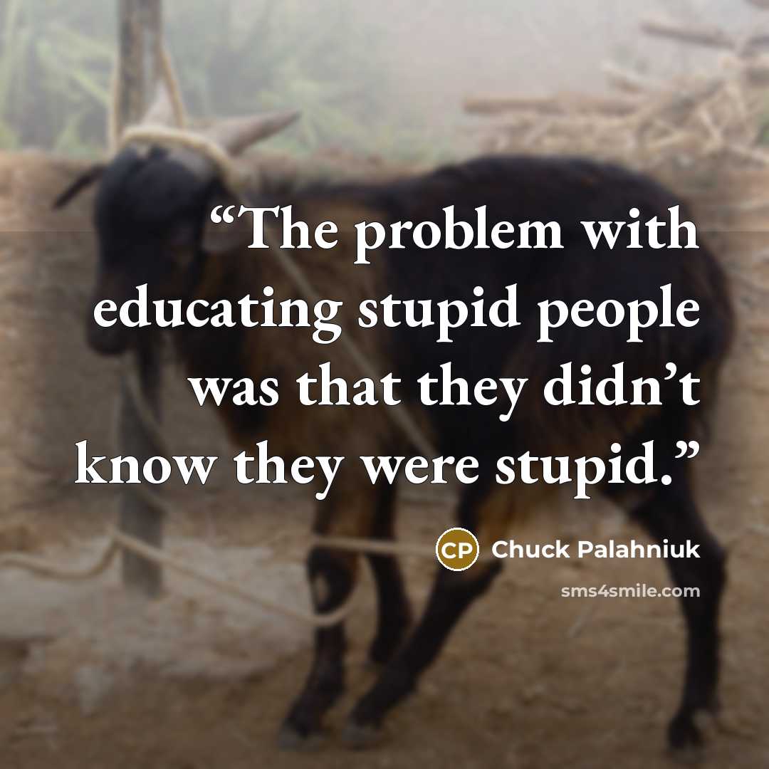 “The problem with educating stupid people was that they didn’t know they were stupid.” quote by Chuck Palahniuk