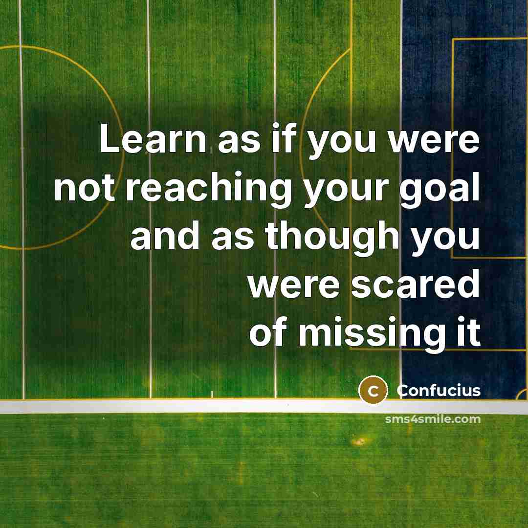 “Learn as if you were not reaching your goal and as though you were scared of missing it” quote by Confucius