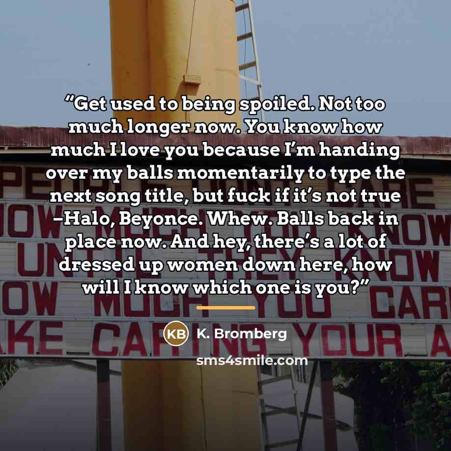 “Get used to being spoiled. Not too much longer now. You know how much I love you because I’m handing over my balls momentarily to type the next song title, but fuck if it’s not true –Halo, Beyonce. Whew. Balls back in place now. And hey, there’s a lot of dressed up women down here, how will I know…” quote by K. Bromberg