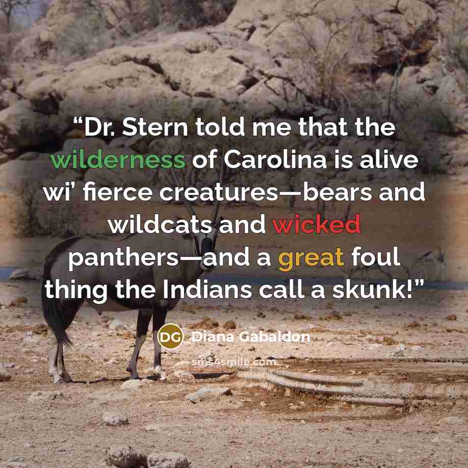“Dr. Stern told me that the wilderness of Carolina is alive wi’ fierce creatures—bears and wildcats and wicked panthers—and a great foul thing the Indians call a skunk!” quote by Diana Gabaldon