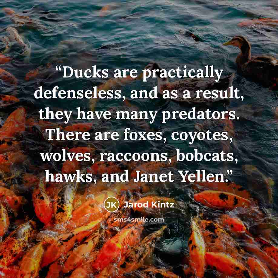 “Ducks are practically defenseless, and as a result, they have many predators. There are foxes, coyotes, wolves, raccoons, bobcats, hawks, and Janet Yellen.” quote by Jarod Kintz