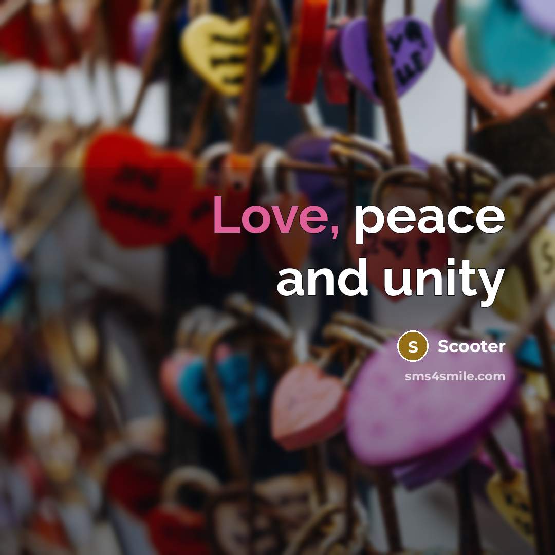 “Love, peace and unity” quote by Scooter
