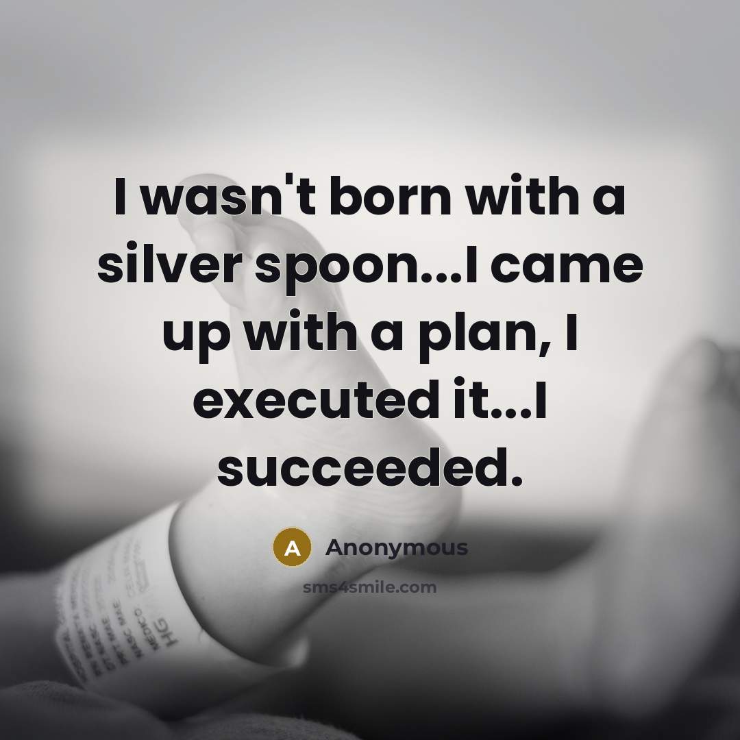 “I wasn't born with a silver spoon...I came up with a plan, I executed it...I succeeded.” quote by Anonymous
