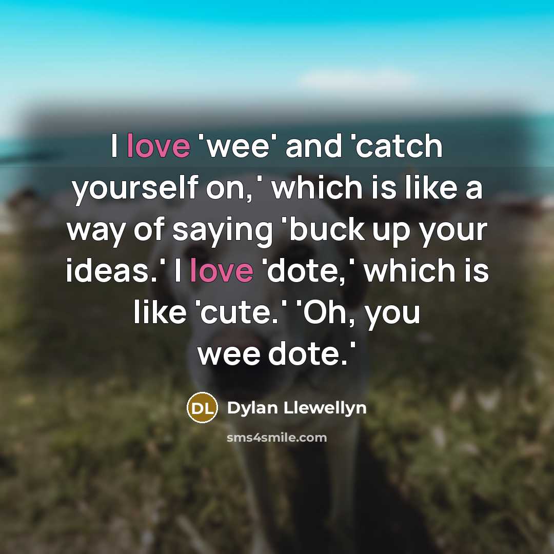 “I love 'wee' and 'catch yourself on,' which is like a way of saying 'buck up your ideas.' I love 'dote,' which is like 'cute.' 'Oh, you wee dote.'” quote by Dylan Llewellyn