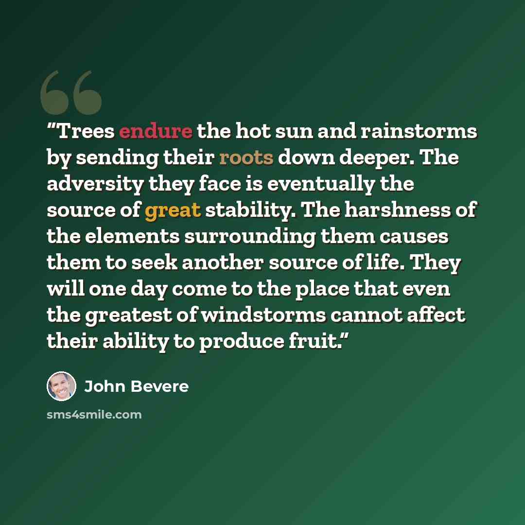 “Trees endure the hot sun and rainstorms by sending their roots down deeper. The adversity they face is eventually the source of great stability. The harshness of the elements surrounding them causes them to seek another source of life. They will one day come to the place that even the greatest of…” quote by John Bevere
